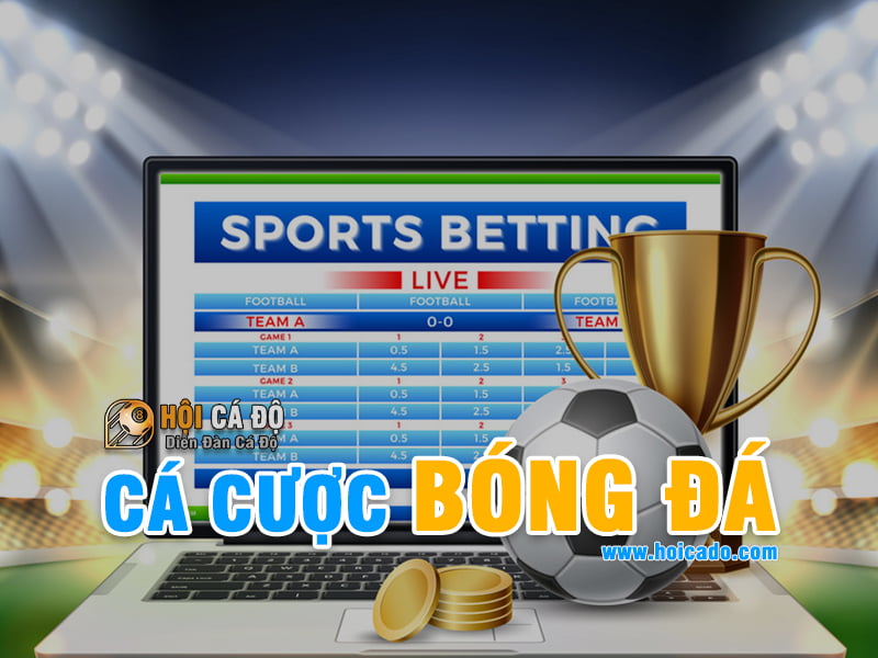 Cá Cược Bóng Đá và những điều Cơ Bản cần biết