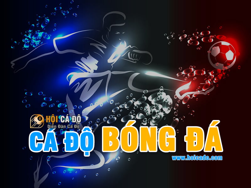 Kinh Nghiệm Cá Độ Bóng Đá dành cho người mới