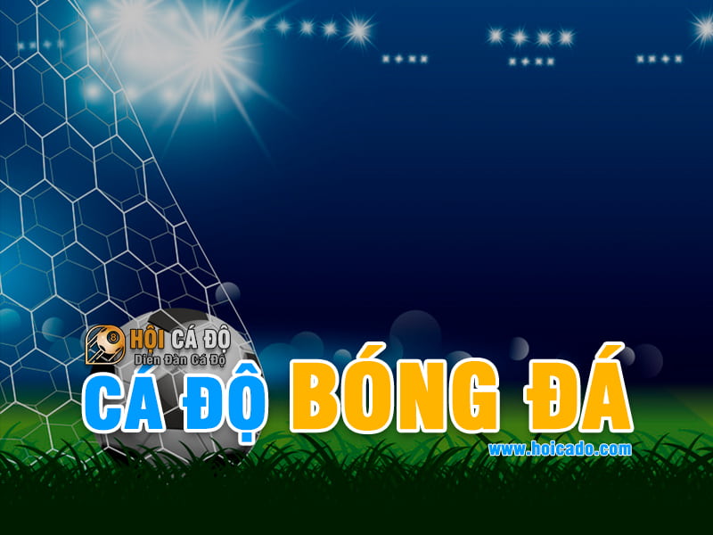 Kinh Nghiệm Cá Độ Bóng Đá dành cho người mới