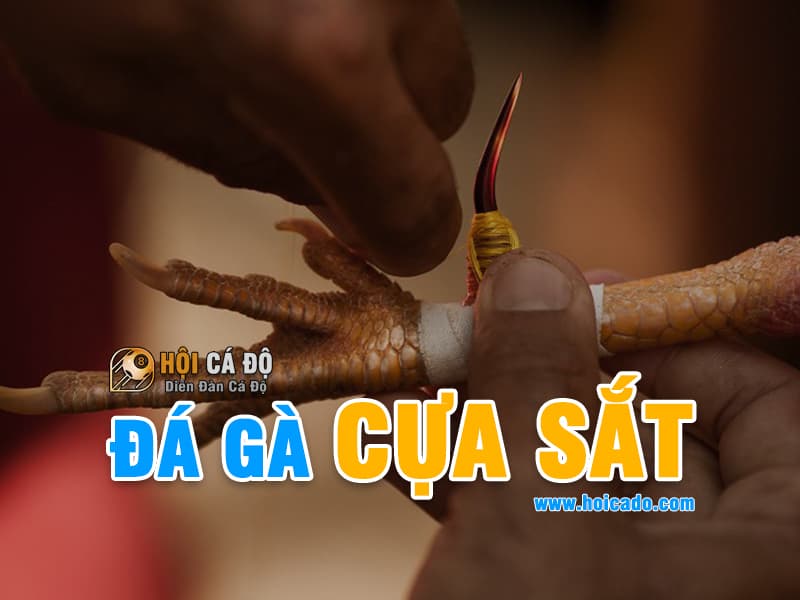 Đá Gà Cựa Sắt