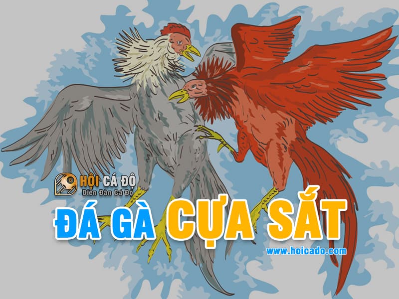 Đá Gà Cựa Sắt
