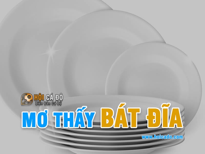 Mơ Thấy Bát Đĩa đánh con gì ?