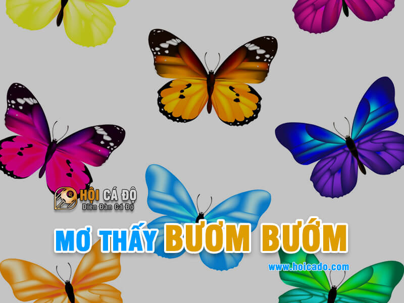 Giải mã giấc mơ thấy bươm bướm