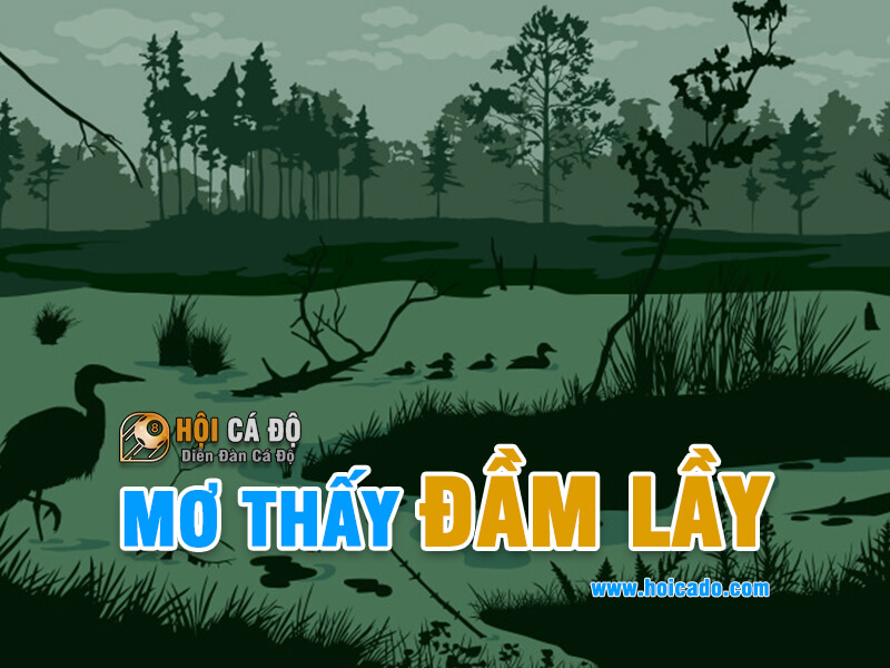 Ngủ mơ thấy đầm lầy đánh con gì ?