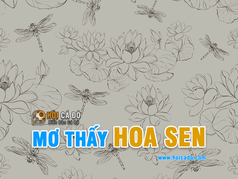 Giải mã giấc mơ thấy hoa sen