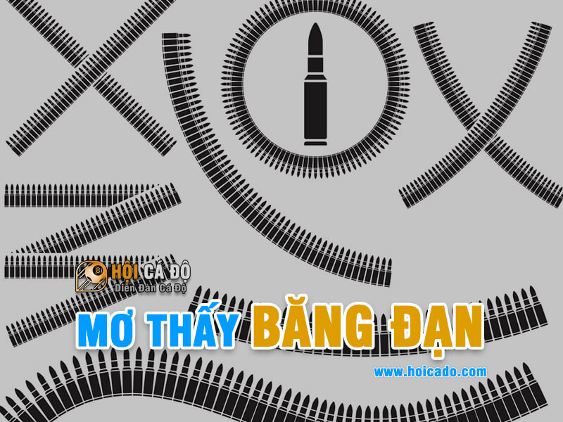 Ngủ mơ thấy băng đạn đánh con gì ?
