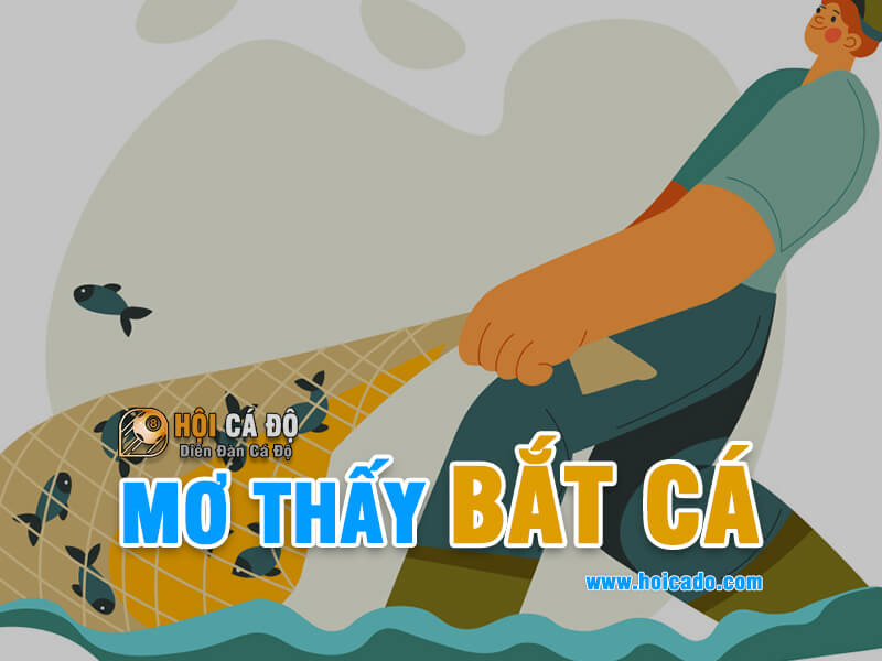 Giải mã điềm báo khi mơ thấy bắt cá