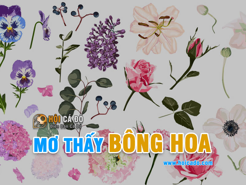 Giải mã các giấc mơ thấy bông hoa