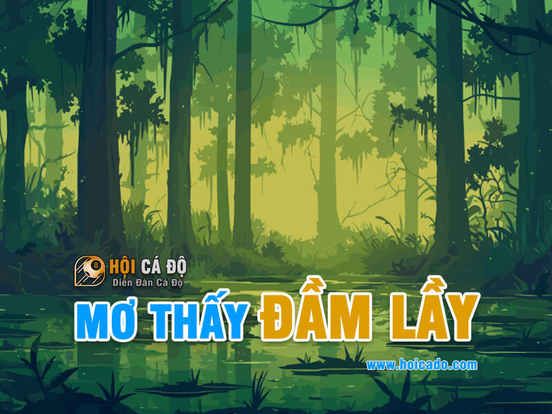 Giải mã ý nghĩa giấc mơ thấy đầm lầy